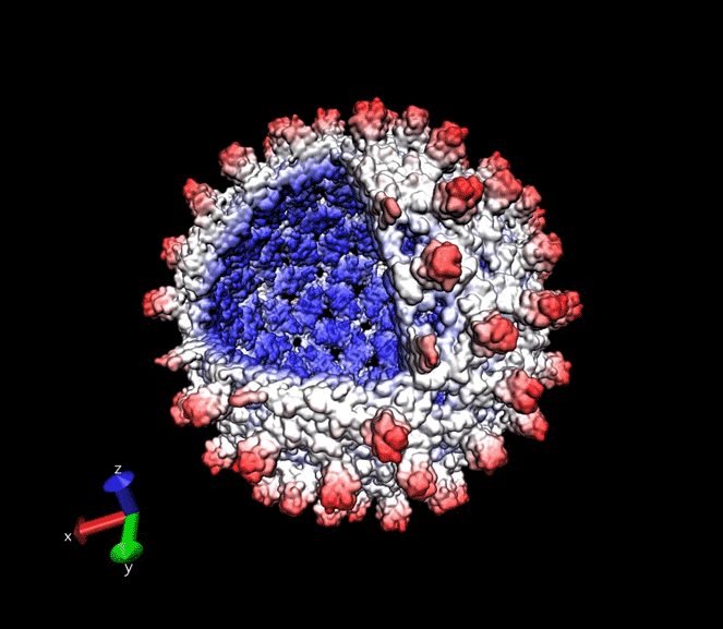 20161004-capsid.png