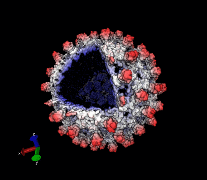 20161004-capsid_AO.png