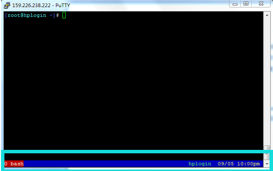 20161016-screen_0_bash.png